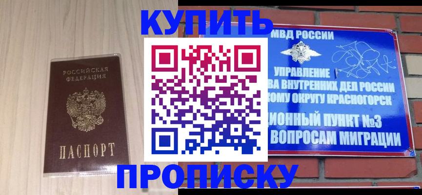 временная регистрация для всех в Ельне
